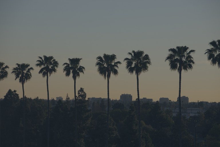 Tall palms stretching toward the heavens at sunset line this skyline view of the downtown area of Anaheim, California, a location of FamilyLife's Weekend to Remember® marriage retreat event.
