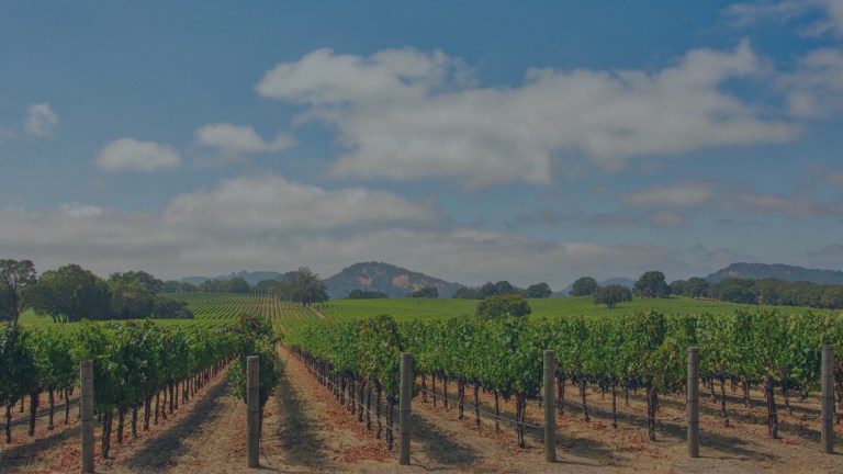A view with an eye toward the background of low-lying mountains and cloud-filled blue skies that overlooks manicured rows of green-leafed grapevines that define a large vineyard in the city of Napa, California, a location of FamilyLife's Weekend to Remember® marriage retreat event.