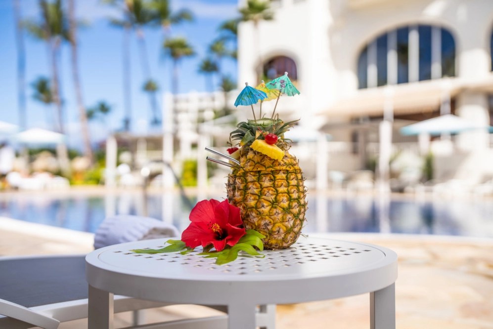hi2026-pineapple hi2026-pineapple
