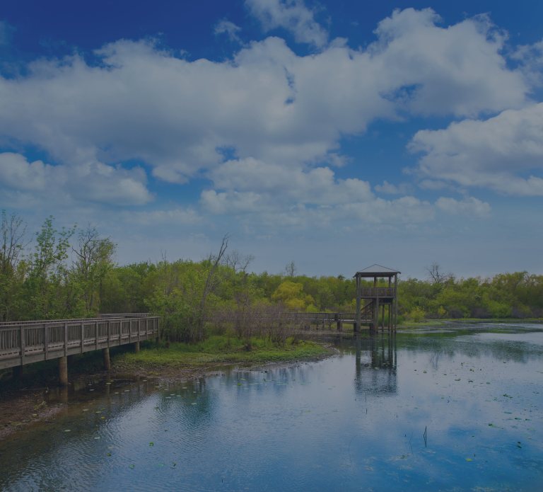 An elevated walkway leads to a lookout tower over White Lake at Cullinan Park in Sugarland, near Houston, Texas, a city location of FamilyLife's Weekend to Remember® marriage retreat event.