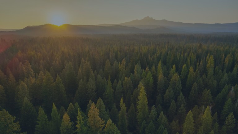 A beautiful over-the-treetops view with an eye toward the west horizon that showcases the Cascade Range as the sun is about to set behind a mountain peak west of Sunriver, Oregon, a location for Weekend to Remember® marriage retreat event.