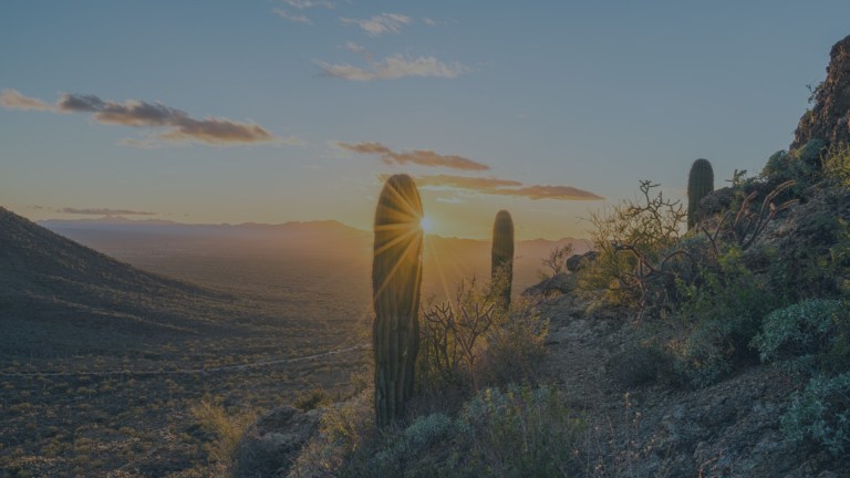The sun is just touching the horizon of the mountain range in the distance, while the its rays peek around a large cactus on the hillside, with a soft dusty blue view of the desert valley below, all near Tucson, Arizona, a location of FamilyLife's Weekend to Remember® marriage retreat event.