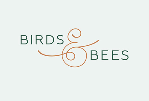 Elementary - Birds & Bees Banner - Sexual Wholeness